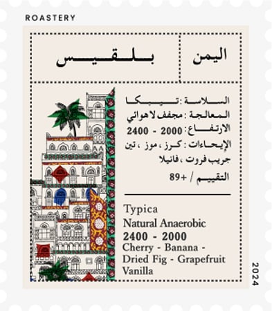 محصول يمني فاخر - بلقيس