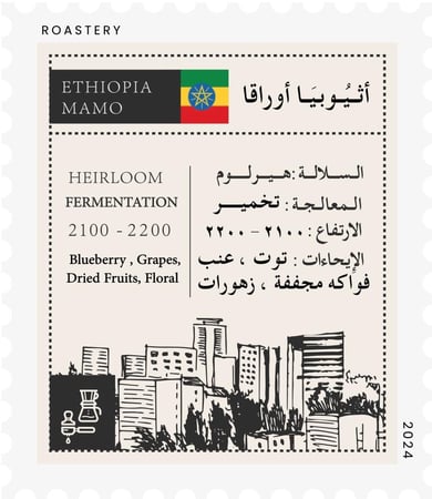 أثيوبيا - أوراقـا k