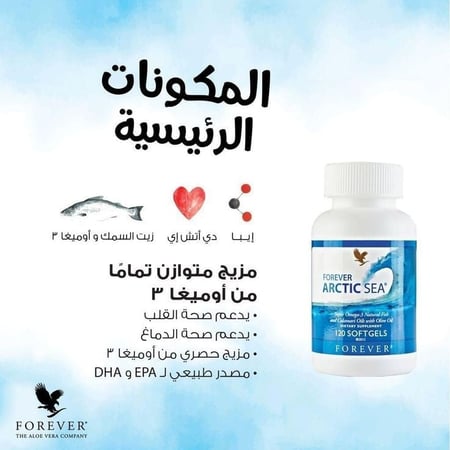 فوريفر أركتيك سي