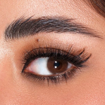 عدسات ملونة شهرية أمارا كلاسيك براون كولكيشن 2024 Amara Classic Brown