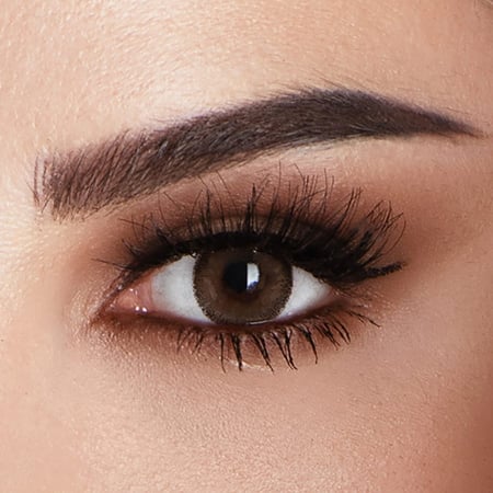 عدسات ملونة شهرية أمارا كاكاو كولكيشن 2022 - Amara Cocoa Lenses