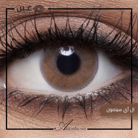 عدسات انستازيا ال اي سينمون