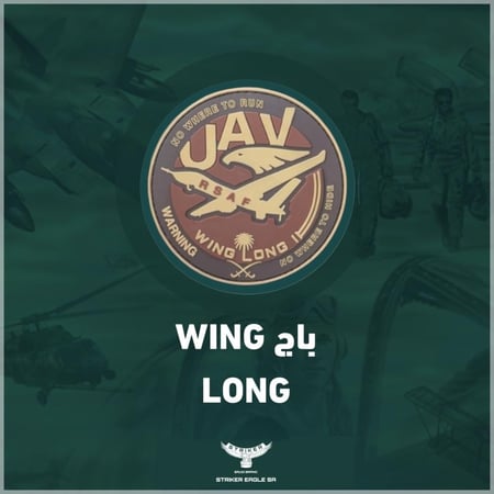 باج - UAV WING LONG 2