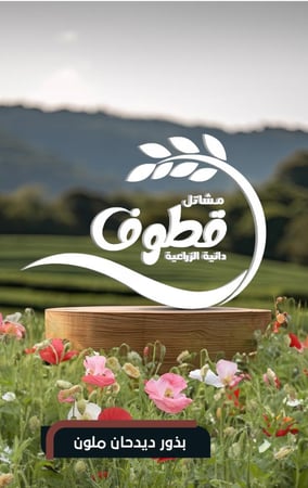 بذور ديدحان ملون