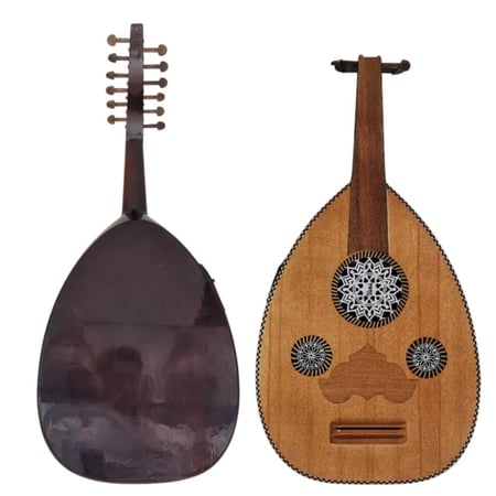 عود كهربائي احترافي سوبر لوكس