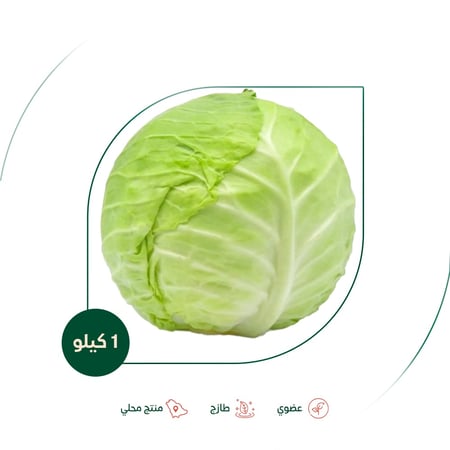 ملفوف اخضر عضوي مزرعة الغذاء الآمن العضوية