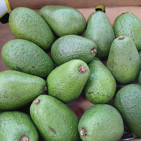 افكادو افريقي 500 جرام