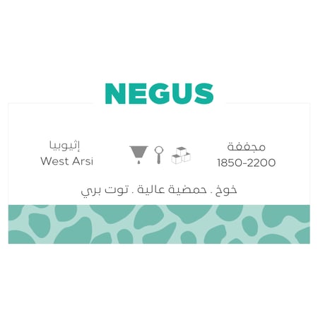 نيقوس | NEGUS اثيوبي زراف