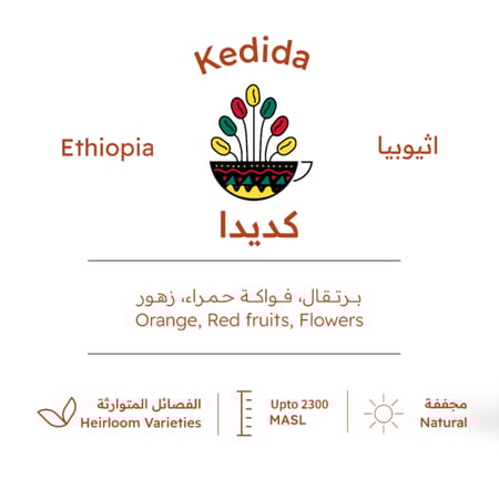 اثيوبيا كديدا المجففة