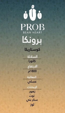 برونكا- كوستاريكي - 250 G