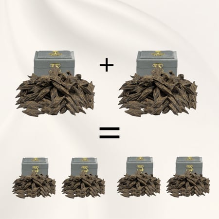 عود التايقر الفتنامي