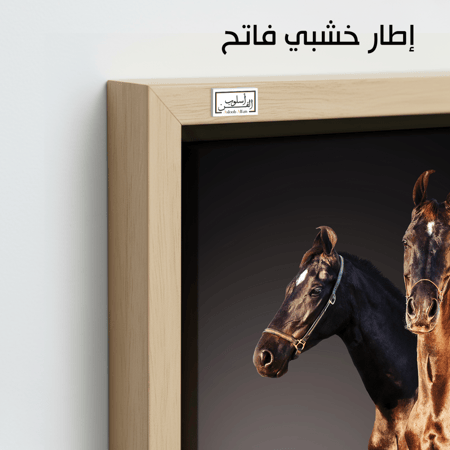 HR102 للوحة فنية معاصرة تصور حصانين أحدهما بني والآخر أسود، يقفان جنبًا إلى جنب على خلفية داكنة. تعكس اللوحة قوة وجمال الخيول، وتضفي شعوراً بالقوة والاناقة على أي مساحة.