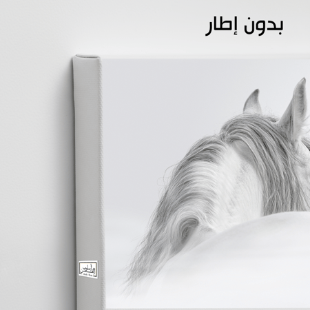 HR73 لوحة فنية معاصرة بالأبيض والأسود تصور رأس حصان أبيض جميل من الخلف، مع تركيز على لجام وعيون الحصان. تعكس اللوحة نقاء وجمال الحصان، وتضفي شعوراً بالهدوء والرقي على أي مساحة.
