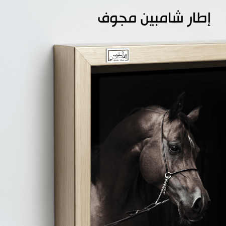 HR98 لوحة فنية معاصرة تصور رأس حصان عربي أصيل بلون بني غامق على خلفية سوداء داكنة. تعكس اللوحة فخامة وجمال الحصان العربي الأصيل، وتضفي شعوراً بالغموض والأناقة على أي مساحة