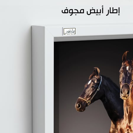 HR102 للوحة فنية معاصرة تصور حصانين أحدهما بني والآخر أسود، يقفان جنبًا إلى جنب على خلفية داكنة. تعكس اللوحة قوة وجمال الخيول، وتضفي شعوراً بالقوة والاناقة على أي مساحة.