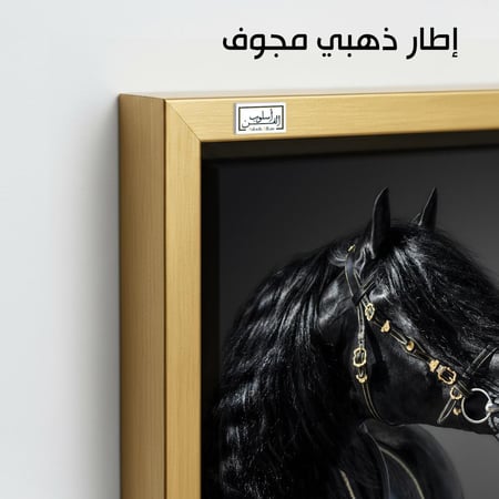 HR110 لوحة فنية بالأبيض والأسود تصور رأس حصان أسود جميل، يبرز لمعان فروه وعيونه الداكنة على خلفية رمادية داكنة.