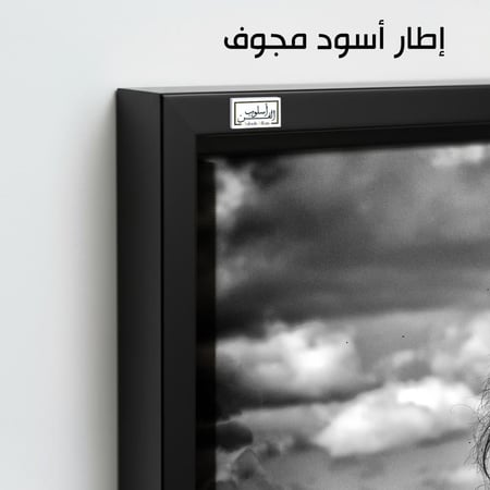 HR113 لوحة فنية بالأبيض والأسود تصور حصانًا أسودًا يقف في حقل مفتوح، وتظهر خلفه سماء مليئة بالغيوم. تعكس اللوحة قوة وشموخ الحصان.