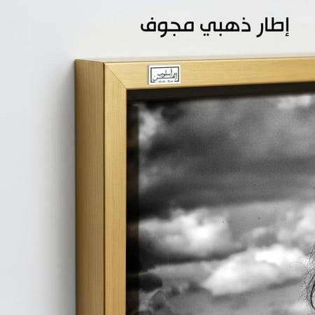 HR113 لوحة فنية بالأبيض والأسود تصور حصانًا أسودًا يقف في حقل مفتوح، وتظهر خلفه سماء مليئة بالغيوم. تعكس اللوحة قوة وشموخ الحصان.