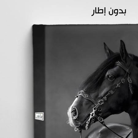 HR263 لوحة فنية أنيقة بالأبيض والأسود تصور حصاناً أسوداً شامخاً يقف في الظلال. تتميز اللوحة بتباين الألوان القوي الذي يبرز تفاصيل الحصان وجماله، وتخلق جوًا من الغموض والقوة.