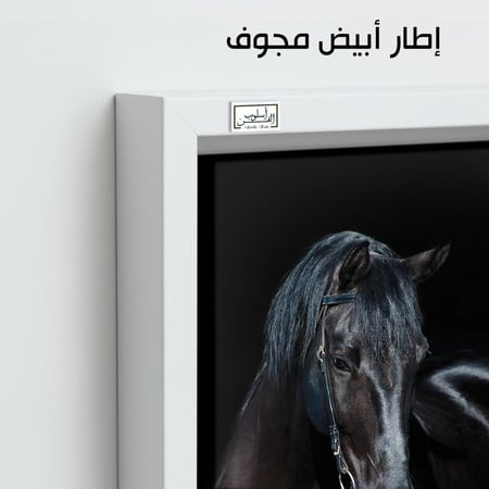 HR167 لوحة فنية واقعية تصور حصانًا أسود في ظلام دامس، يبرز فيها لمعان فروه وعمق عينيه، معبرة عن القوة والغموض والجمال.