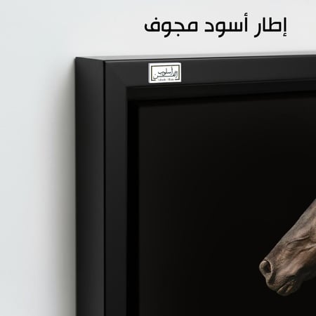 HR59 لوحة فنية معاصرة بالأبيض والأسود تصور رأس حصان أسود جميل، بريشه الطويل منسدلًا في الهواء، على خلفية سوداء