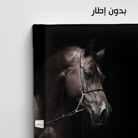HR98 لوحة فنية معاصرة تصور رأس حصان عربي أصيل بلون بني غامق على خلفية سوداء داكنة. تعكس اللوحة فخامة وجمال الحصان العربي الأصيل، وتضفي شعوراً بالغموض والأناقة على أي مساحة