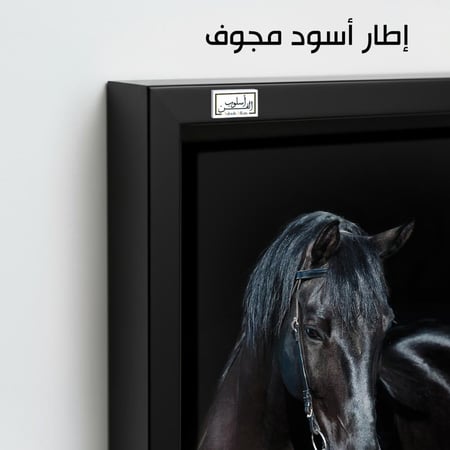 HR167 لوحة فنية واقعية تصور حصانًا أسود في ظلام دامس، يبرز فيها لمعان فروه وعمق عينيه، معبرة عن القوة والغموض والجمال.
