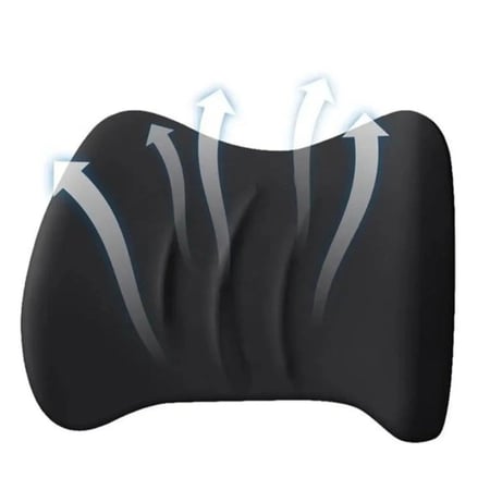 مسند الظهر للسيارة من دينكس