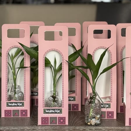 توزيعات بامبو بباكيج اليوم الوطني