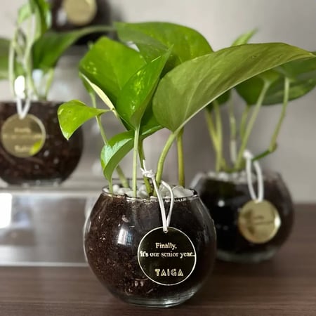 توزيعات بوتس (صغير) + اكريلك مرايا