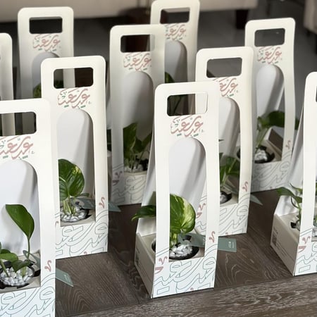 هولدر العيد بنبات البوتس