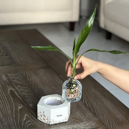 توزيعات بامبو صغير بتاق عيد مبارك