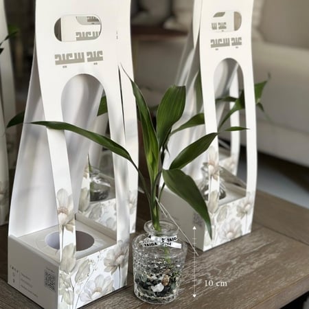 توزيعات بامبو بـ هولدر العيد