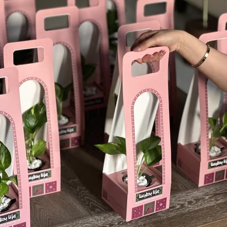 توزيعات بوتس اليوم الوطني