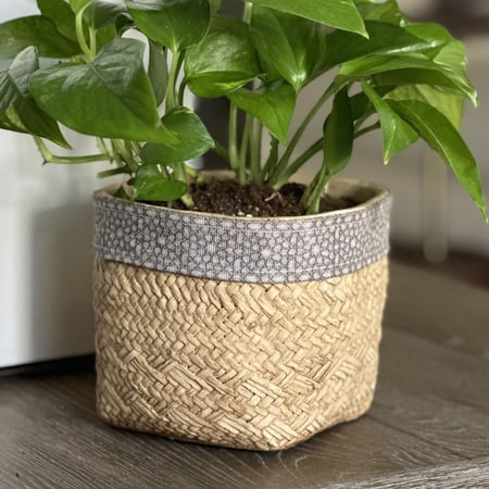 بوتس بأصيص فخار