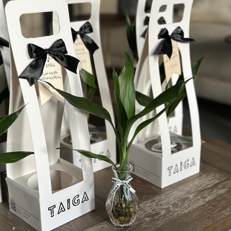 توزيعات فازة بامبو بهولدر بالثيم أو العبارة (الحبة)