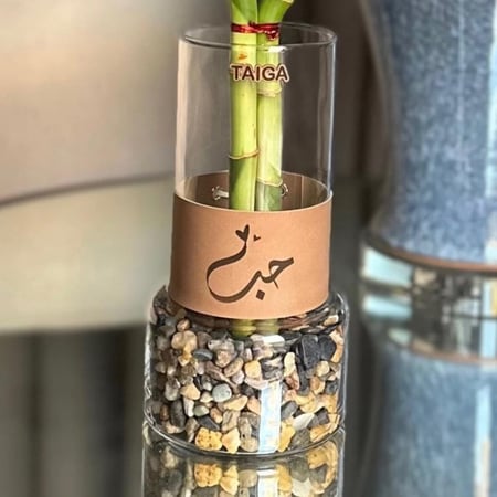 فازة بامبو بعبارات