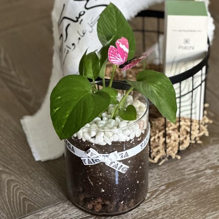 سلال العيد وسط " بوتس” + بوكس شوكلاتة