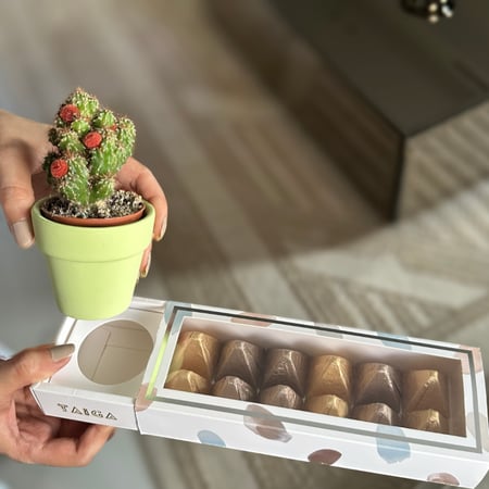 هدية بوكس نبتة + شوكلاتة شوكولاين