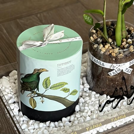 هدية فازة زاميا وسط + بوكس تشوكلت