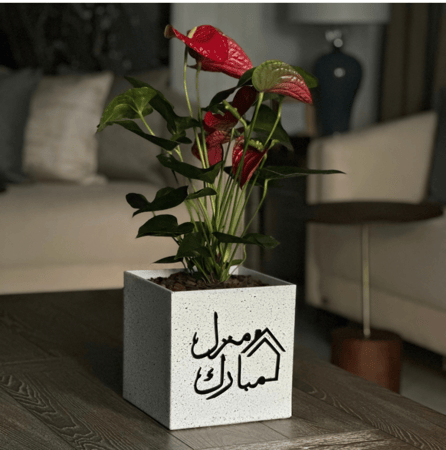 أنتوريوم بأصيص بلاستيك (قابل للكتابة)