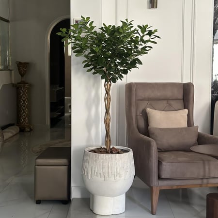 فيكس موكلامي مجدول