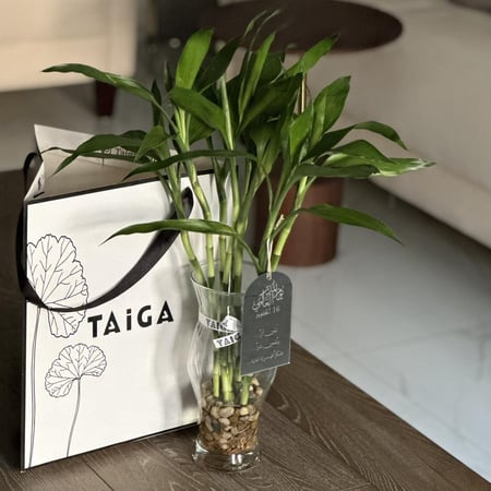 فازة بامبو تايلندي + تعليقة اكريليك