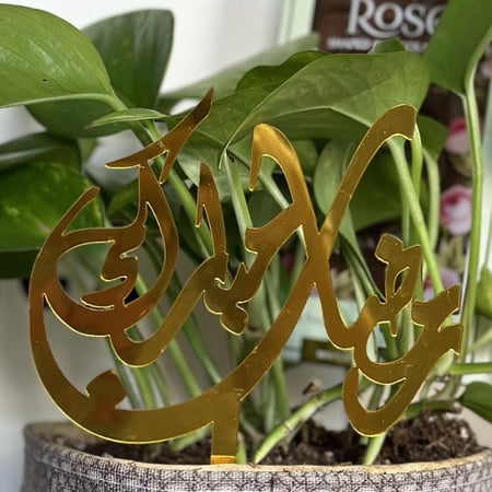 تغريسة رمضان مبارك