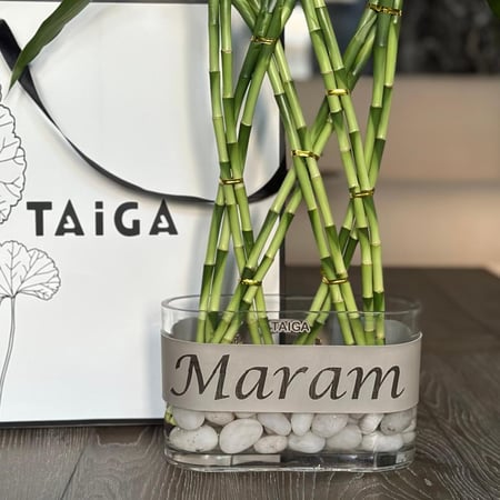 بامبو مجدول + قطعة جلد