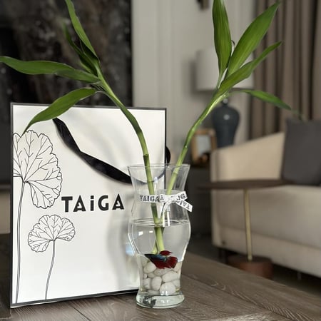 فازة بامبو + سمكة فايتر