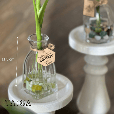 توزيعات فازات البامبو