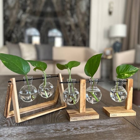 حامل خشبي بفازتين بوتس مائي