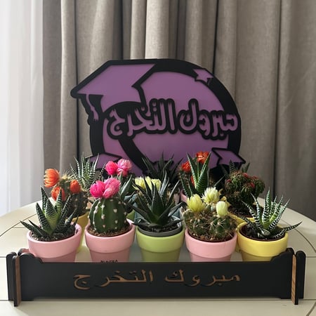 ستاند تخرج (15 فخاريات صباريات )