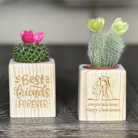 توزيعات الصبار الخشبيه (قابل للكتابة)